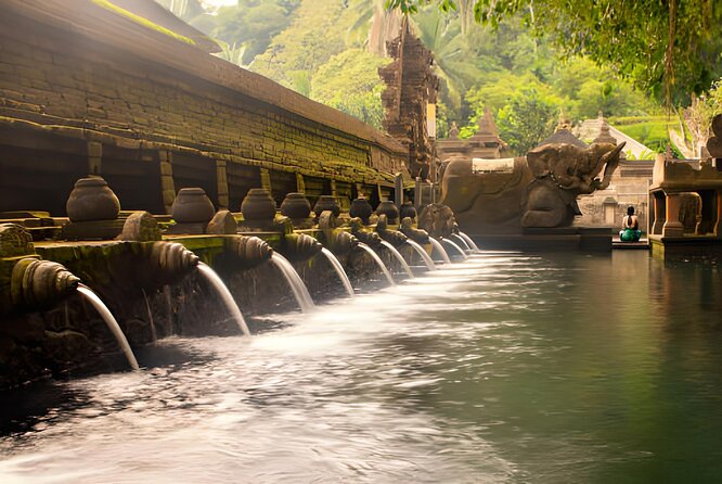 Ubud Bali: Rice Terrace, Waterfall and Tirta empul Day Tour - Why this Ubud combination works
