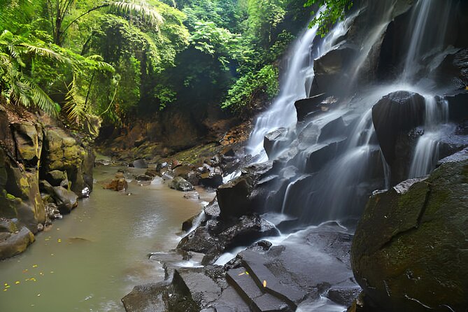 Ubud Bali: Rice Terrace, Waterfall and Tirta empul Day Tour - Starting at Goa Gajah, Bali’s cave temple