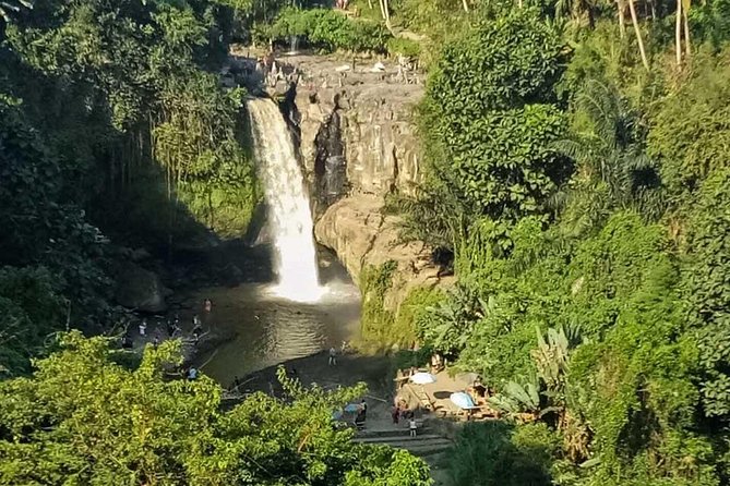 Ubud Best Tour - What this 10-hour Ubud day is really like