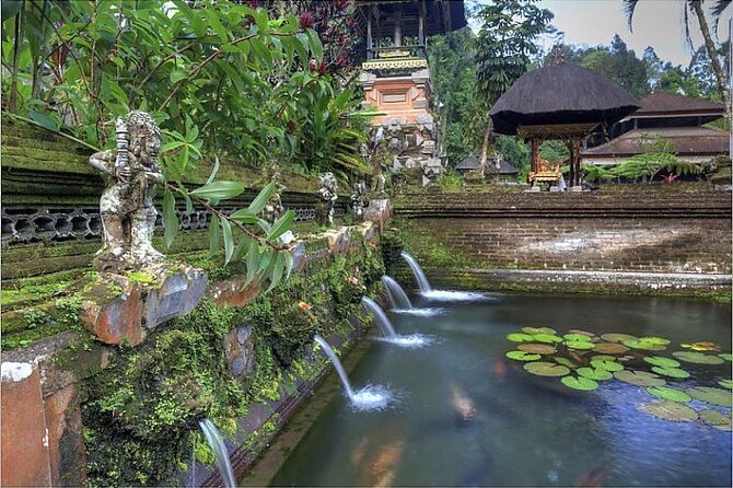 Ubud Best Tour - What the $75 group price actually buys