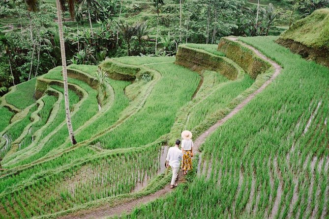 Ubud City Tour II: Monkey Forest, Palace, Art Market, and Rice Terrace - Walking or photographing Tegalalang Rice Terrace