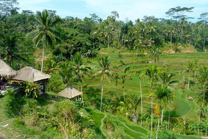 Ubud Combine Mount Batur Kintamani Tour - What $27 really buys you