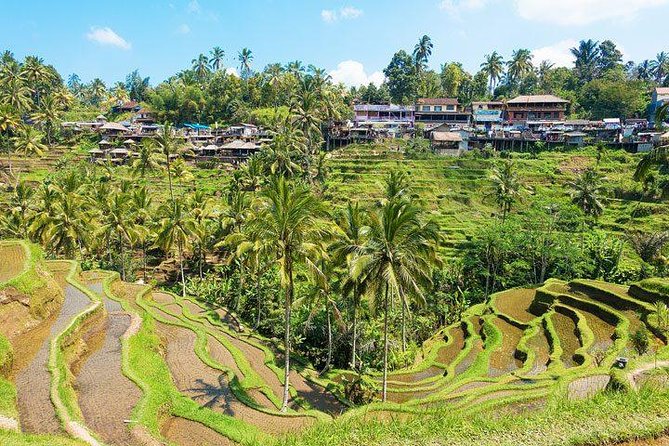 Ubud Countryside Tour: Campuhan Ridge Walk and Rice Terrace - Tegalalang Rice Terrace and the extra donation