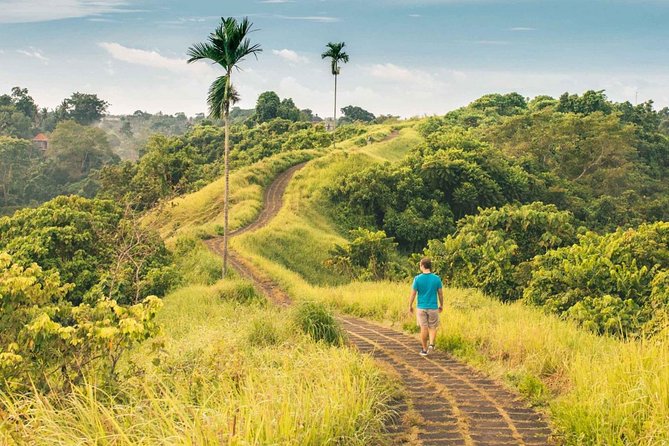 Ubud Countryside Tour: Campuhan Ridge Walk and Rice Terrace - Tegenungan Waterfall, the final nature stop