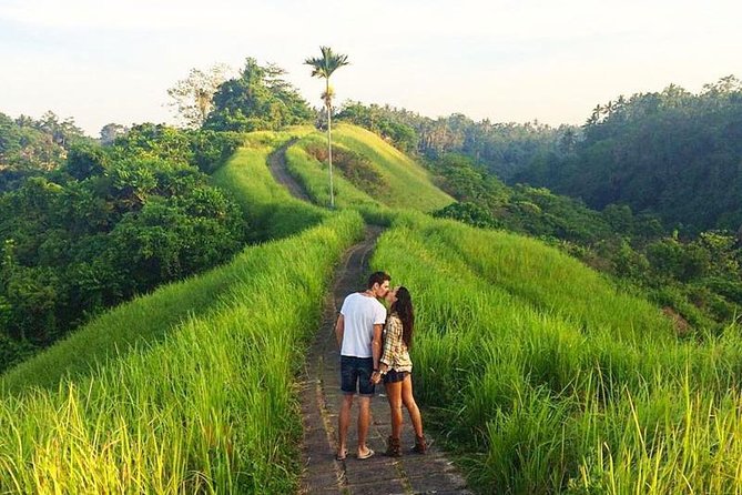 Ubud Countryside Tour: Campuhan Ridge Walk and Rice Terrace - Who will enjoy this tour most