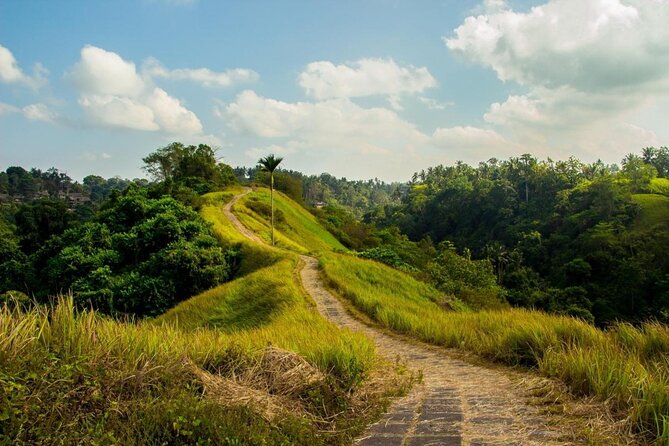 Ubud Countryside Tour: Campuhan Ridge Walk and Rice Terrace - A traditional Balinese house in Batuan