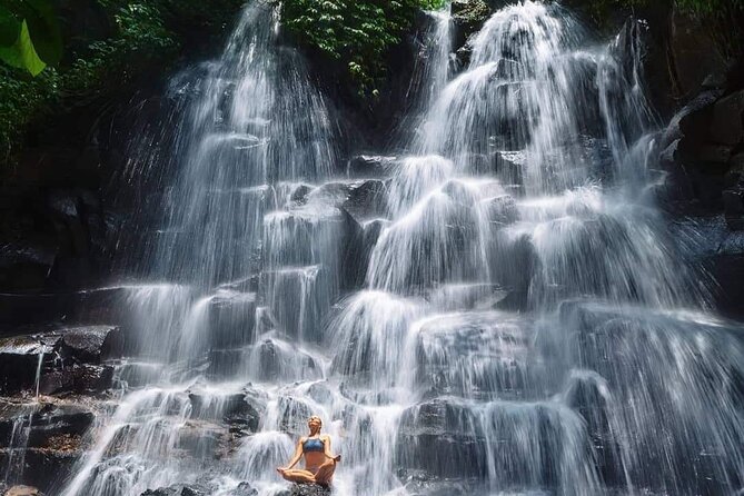 Ubud Customized Full Day Tour - Visit Most favorite In Ubud - Ubud Monkey Forest: famous, memorable, and not entirely calm