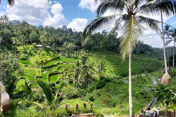 Ubud Customized Private Tour - Batubulan art, Batuan Temple, and village life