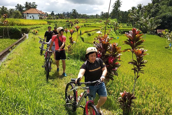 Ubud Cycling Tour - Cycling the quiet roads, fields, and village edges