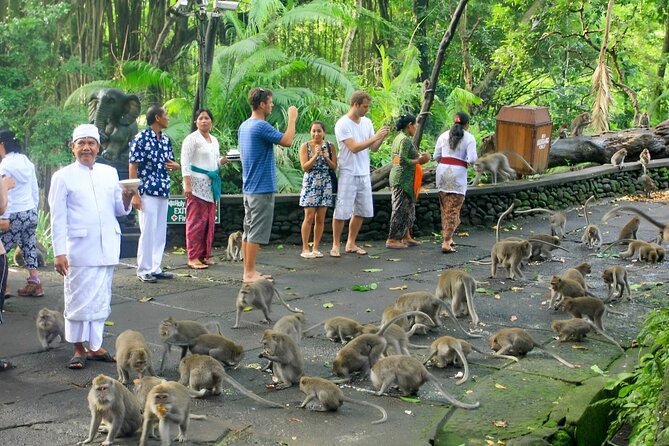 Ubud Day Tour: Sacred Monkey Forest, Tegenungan Waterfall, Rice Terrace - Ubud Traditional Art Market: the flexible part of the day