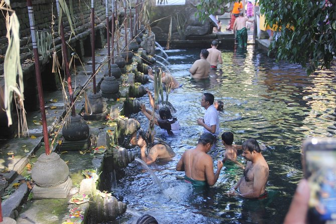 Ubud Day Tour - Top Things to do in Ubud + Local Ubud Guide - The Terrace River Pool Swing