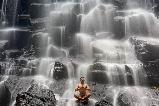 Ubud Day Tour : Waterfall, Temple and Local Night Market Tour - What the guide adds to the day