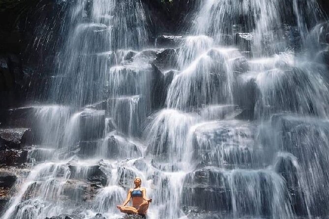 Ubud Day Tour : Waterfall, Temple and Local Night Market Tour - Monkey Forest: macaques, trees, and a little caution