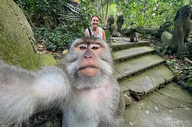 Ubud Day Tour with Private Car & Local Driver - Tirta Empul Temple and Bali’s holy spring water