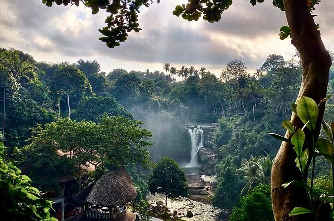 Ubud Day Tour with Private Car & Local Driver - Monkey Forest, Batuan Temple, and shopping need confirmation