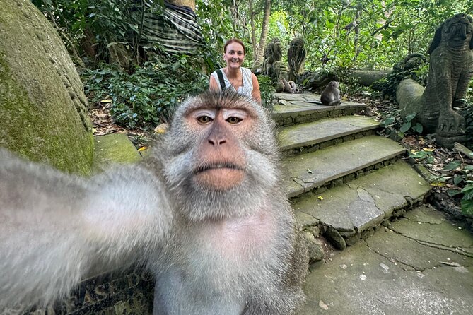 Ubud Day Tour with Private Car & Local Driver - What the day feels like from Seminyak