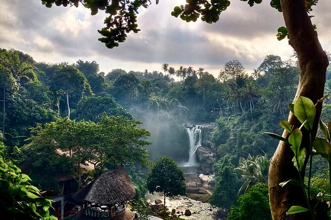 Ubud Day Tour with Private Car & Local Driver - Tegenungan Waterfall, a quick splash of Bali scenery