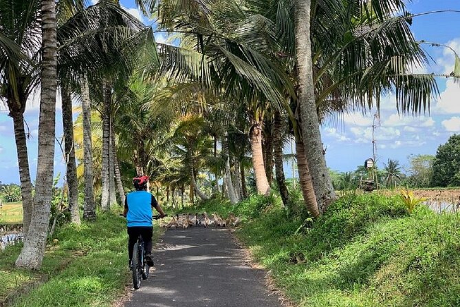 Ubud: Downhill Cycling with Volcano, Rice Terraces and Meal - Who should book this ride?