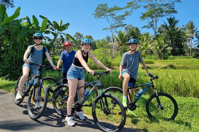 Ubud: Downhill Cycling with Volcano, Rice Terraces and Meal - Manukaya and the stops that explain Bali