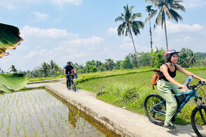 Ubud eBikes Tour to Tegallalang Rice Terrace - Starting at the Sapat Office