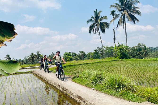 Ubud eBikes Tour to Tegallalang Rice Terrace - Temple Visits and Balinese Hindu Culture