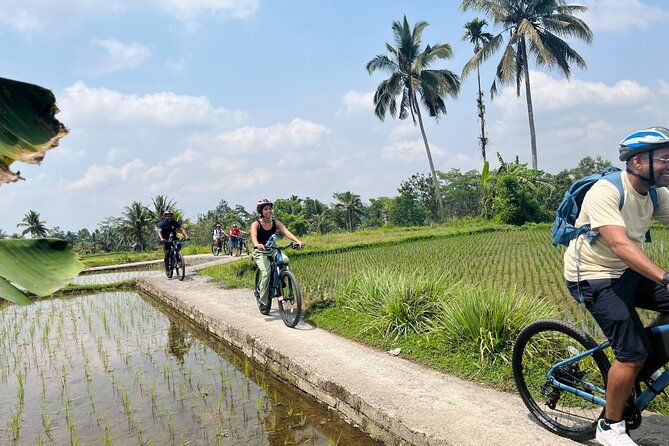 Ubud eBikes Tour to Tegallalang Rice Terrace - Riding Through the Rice Fields
