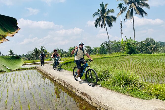 Ubud eBikes Tour to Tegallalang Rice Terrace - Is Three Hours Enough?