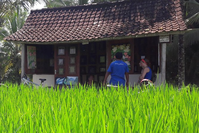 Ubud Eco Culture Cycling Exploration - Passing the Monkey Forest with room for photos