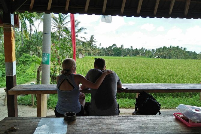 Ubud Eco Culture Cycling Exploration - Abangan paddy fields and young coconut juice