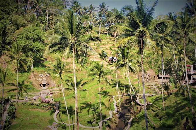 Ubud Experience | Full Day Private Tour in Ubud | FREE WIFI - Tegalalang Rice Terrace and the Famous Swing