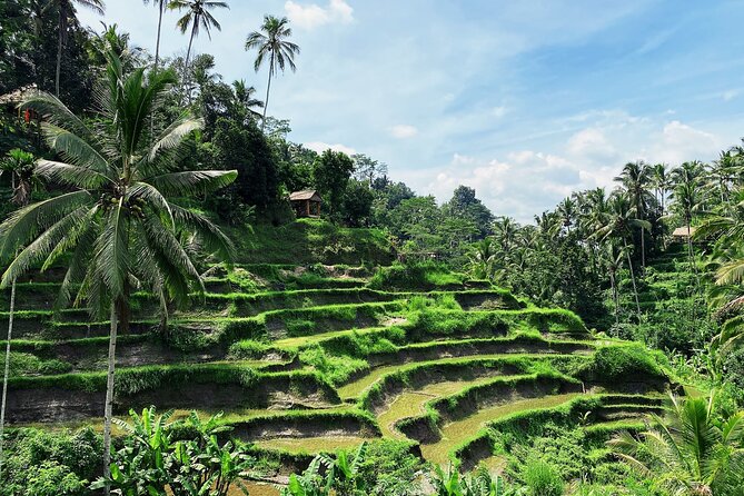 Ubud Experience | Full Day Private Tour in Ubud | FREE WIFI - Tegenungan Waterfall and the Water Activities