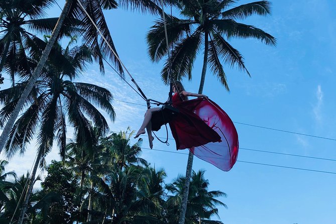 Ubud Experience ; Swing, Waterfalls, Art Market, Rice Terrace - Comfort, timing, and the real value of $41.67
