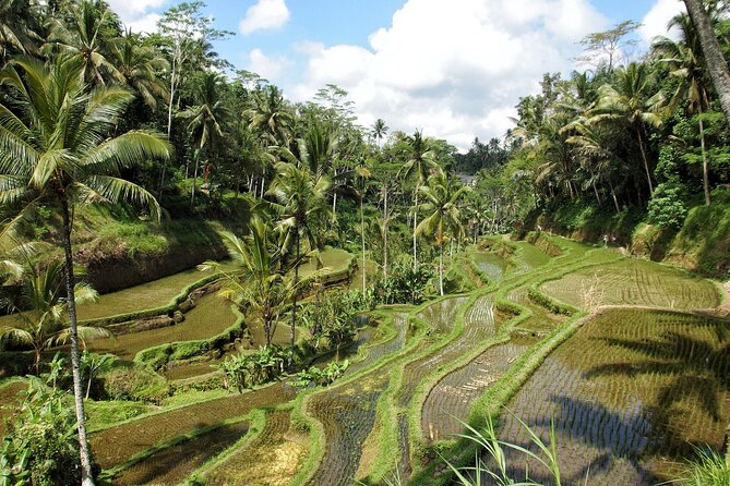 Ubud Explorer Private Day Tour - Guides who add value to the drive