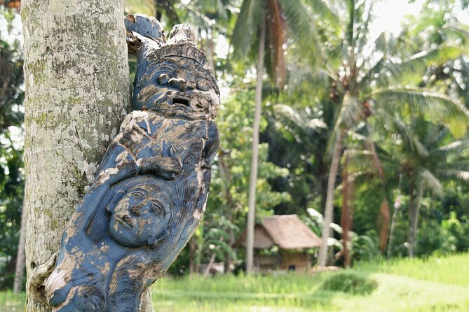 Ubud Explorer Private Day Tour - What $52 per person really includes