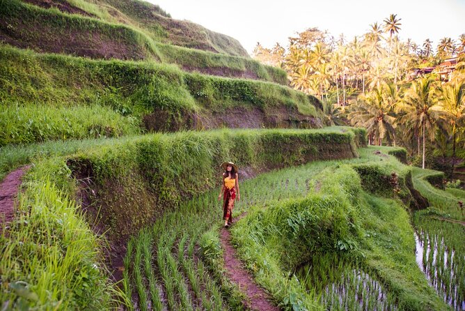 Ubud Full Day ATV Adventure with Rice Terrace and Temple Ritual - Tirta Empul and the meaning of purification