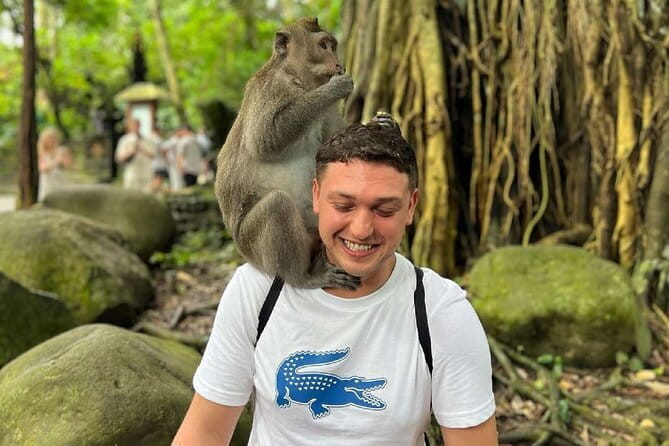 Ubud Full Day - Monkey Forest, Rice Terrace and Waterfalls Tour - What the $28.05 price really buys you