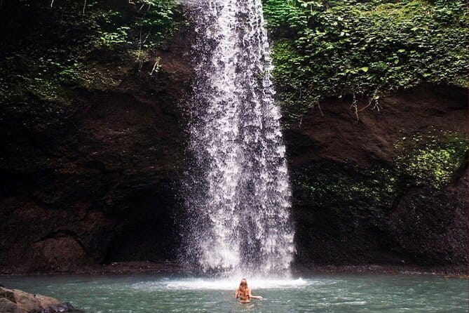 Ubud Full Day - Monkey Forest, Rice Terrace and Waterfalls Tour - Ubud jungle swing: memorable photos at an extra cost