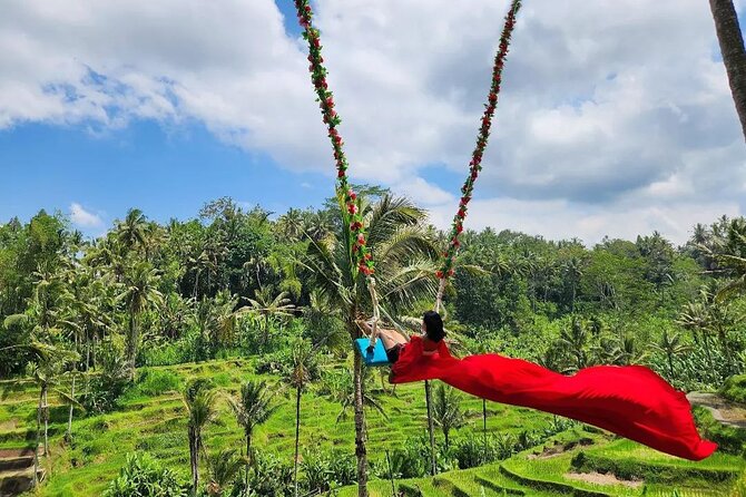 Ubud Half Day Zipline and Jungle Swing - The rice terraces from above