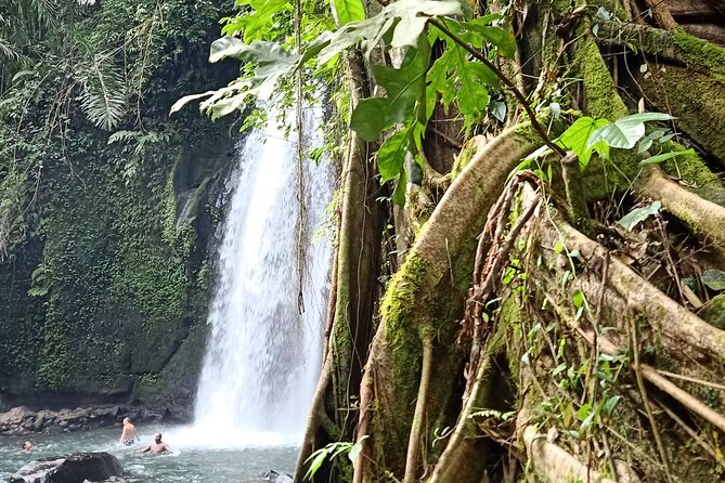 Ubud Half Day Zipline and Jungle Swing - Ulu Petanu Waterfall and the 180-step return
