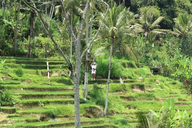 Ubud Half Day Zipline and Jungle Swing - Is $69.80 good value?