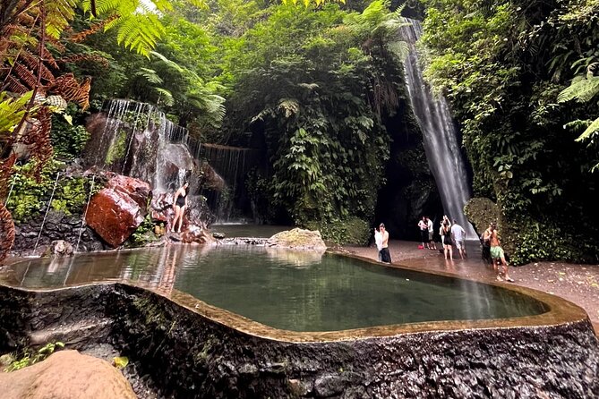 Ubud Hidden Gems Waterfalls and Private tour - Tegallalang Rice Terraces and a Slower Hour