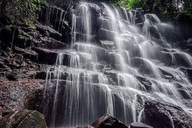 Ubud Hidden Gems Waterfalls and Private tour - The $50 Price and What It Covers