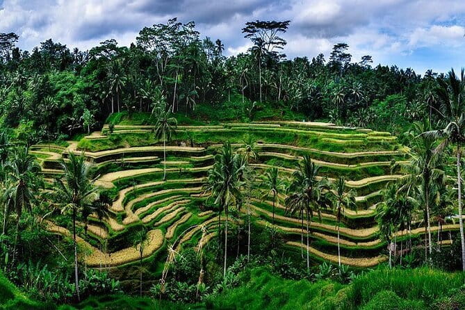 Ubud Highlight Private Charter with Jungle Swing - Batuan Temple: detailed Balinese design
