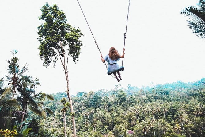Ubud Highlight Private Charter with Jungle Swing - Tegalalang Rice Terrace: Bali’s famous farming views