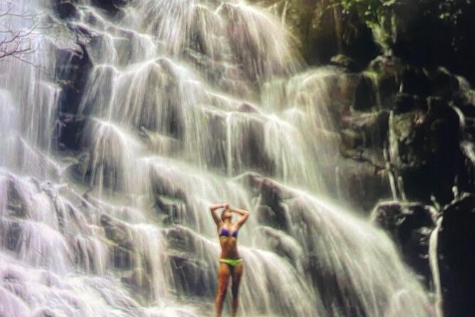 Ubud Highlight Rice Terrace,Waterfall,Temple and Art village - Why this Ubud day works well from Seminyak