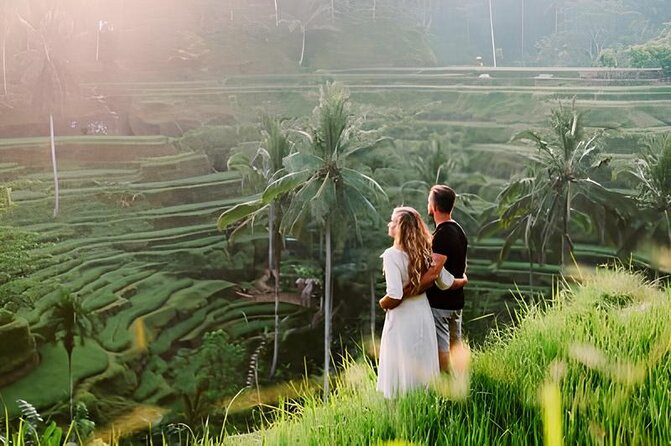 Ubud Highlights Rice Terraces, Temple, Waterfall & Monkeys forest - Sacred Monkey Forest, one hour among the macaques