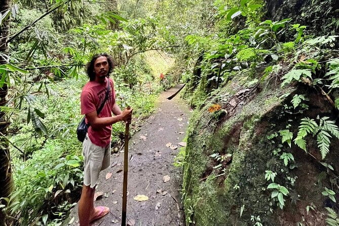 Ubud Highlights Shared Tour – Small Group Full-Day Experience - Tegalalang Rice Terrace: Bali’s working countryside