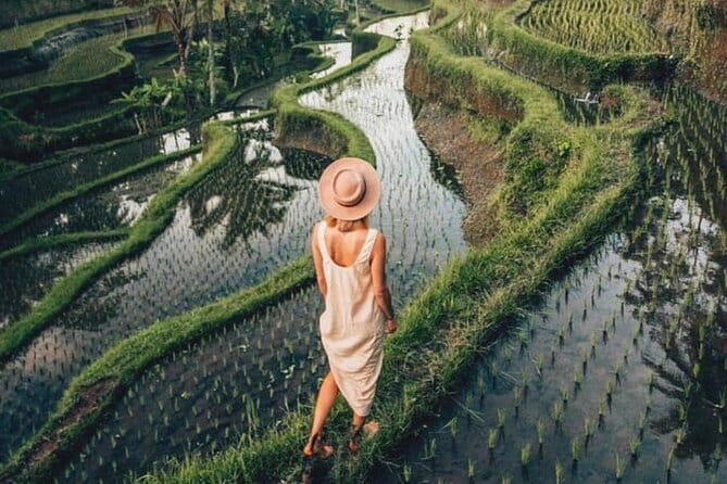 Ubud Highlights Shared Tour – Small Group Full-Day Experience - Tirta Empul: Sacred springs and proper temple manners