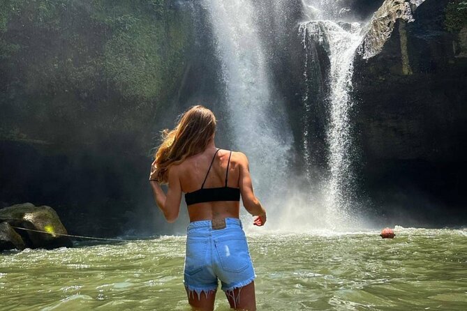 Ubud Higlights Full Day Tour - Private Tour Experience - What the $24.30 price really buys you