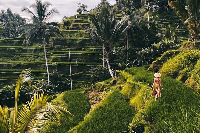 Ubud Higlights Full Day Tour - Private Tour Experience - Who should book this private Ubud day?